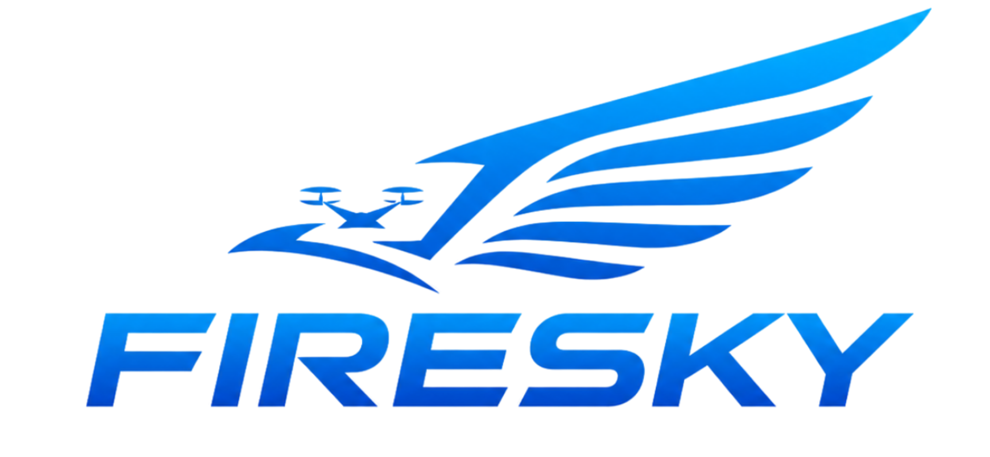 株式会社FIRESKY